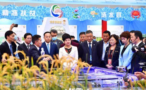 淮安食品爆料案件最新,揭露食品安全背后的惊人真相